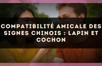 Compatibilité amicale des signes chinois : Lapin et Cochon