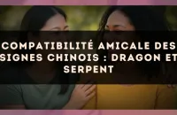 Compatibilité amicale des signes chinois : Dragon et Serpent
