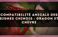 Compatibilité amicale des signes chinois : Dragon et Chèvre