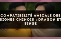 Compatibilité amicale des signes chinois : Dragon et Singe