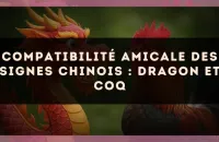 Compatibilité amicale des signes chinois : Dragon et Coq
