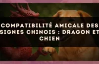 Compatibilité amicale des signes chinois : Dragon et Chien