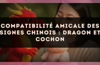 Compatibilité amicale des signes chinois : Dragon et Cochon