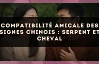Compatibilité amicale des signes chinois : Serpent et Cheval