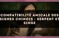 Compatibilité amicale des signes chinois : Serpent et Singe