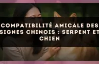 Compatibilité amicale des signes chinois : Serpent et Chien
