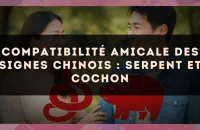 Compatibilité amicale des signes chinois : Serpent et Cochon