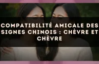 Compatibilité amicale des signes chinois : Chèvre et Chèvre
