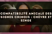 Compatibilité amicale des signes chinois : Chèvre et Singe
