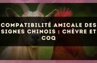 Compatibilité amicale des signes chinois : Chèvre et Coq
