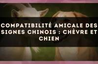Compatibilité amicale des signes chinois : Chèvre et Chien