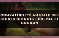 Compatibilité amicale des signes chinois : Cheval et Cochon