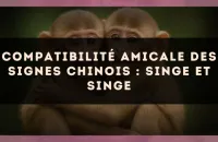 Compatibilité amicale des signes chinois : Singe et Singe