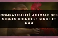 Compatibilité amicale des signes chinois : Singe et Coq