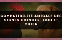 Compatibilité amicale des signes chinois : Coq et Chien