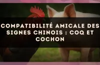 Compatibilité amicale des signes chinois : Coq et Cochon