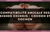 Compatibilité amicale des signes chinois : Cochon et Cochon
