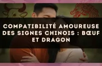 Compatibilité amoureuse des signes chinois : Bœuf et Dragon