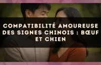 Compatibilité amoureuse des signes chinois : Bœuf et Chien
