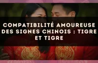 Compatibilité amoureuse des signes chinois : Tigre et Tigre