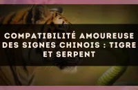 Compatibilité amoureuse des signes chinois : Tigre et Serpent