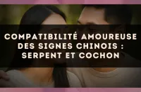Compatibilité amoureuse des signes chinois : Serpent et Cochon