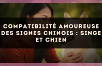 Compatibilité amoureuse des signes chinois : Singe et Chien