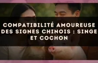 Compatibilité amoureuse des signes chinois : Singe et Cochon