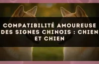 Compatibilité amoureuse des signes chinois : Chien et Chien