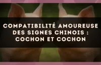 Compatibilité amoureuse des signes chinois : Cochon et Cochon