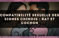 Compatibilité sexuelle des signes chinois : Rat et Cochon