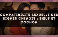 Compatibilité sexuelle des signes chinois : Bœuf et Cochon