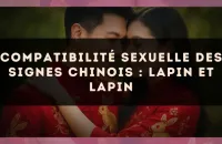 Compatibilité sexuelle des signes chinois : Lapin et Lapin