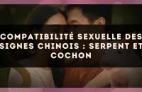 Compatibilité sexuelle des signes chinois : Serpent et Cochon