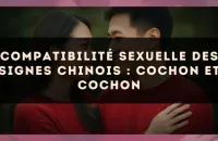 Compatibilité sexuelle des signes chinois : Cochon et Cochon