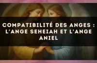 Compatibilité des anges : l'Ange Seheiah et l'Ange Aniel