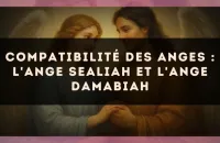 Compatibilité des anges : l'Ange Sealiah et l'Ange Damabiah