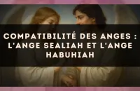 Compatibilité des anges : l'Ange Sealiah et l'Ange Habuhiah