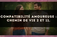 Compatibilité amoureuse : Chemin de Vie 2 et 11.
