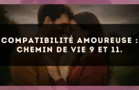 Compatibilité amoureuse : Chemin de Vie 9 et 11.