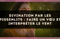 Divination par les pissenlits : faire un vœu et interpréter le vent