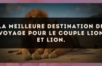 La meilleure destination de voyage pour le couple Lion et Lion.