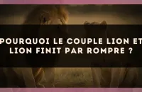 Pourquoi le couple Lion et Lion finit par rompre ?