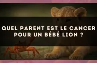 Quel parent est le Cancer pour un bébé Lion ?