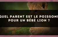 Quel parent est le Poissons pour un bébé Lion ?
