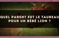 Quel parent est le Taureau pour un bébé Lion ?