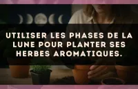 Utiliser les phases de la lune pour planter ses herbes aromatiques.