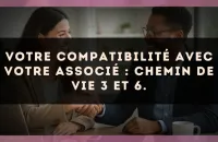 Votre compatibilité avec votre associé : Chemin de Vie 3 et 6.