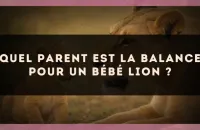 Quel parent est la Balance pour un bébé Lion ?