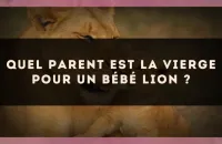 Quel parent est la Vierge pour un bébé Lion ?